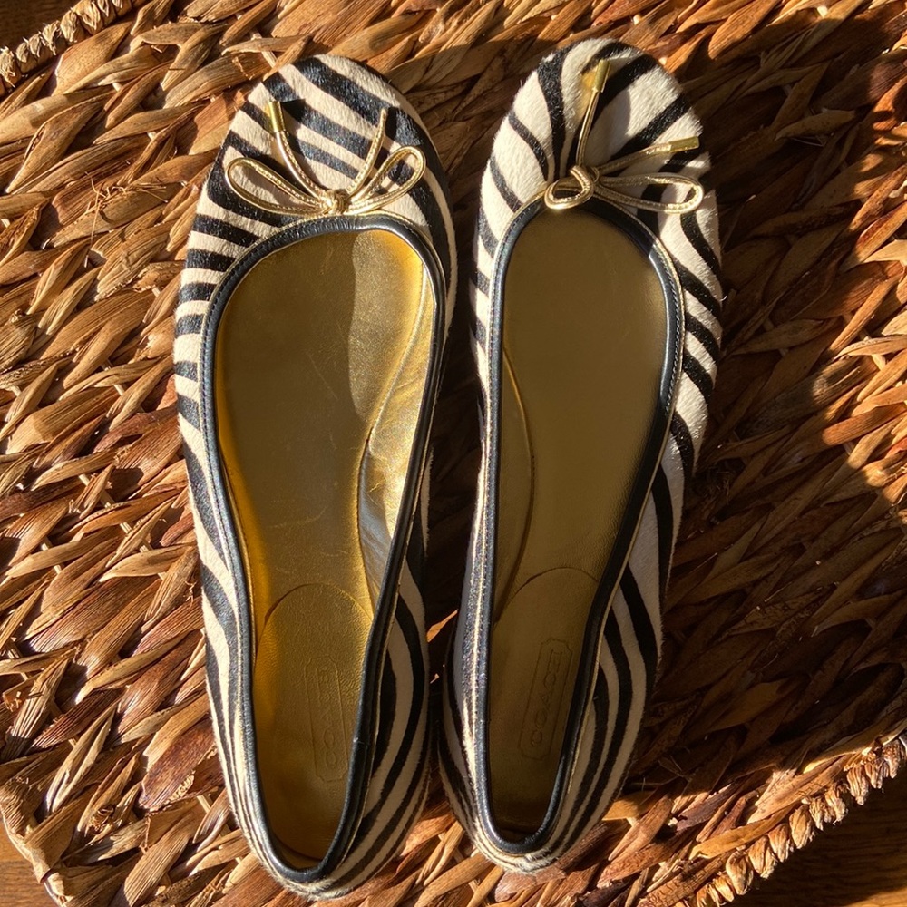 Women’s Coach Zebra Ballet Flats with gold accents